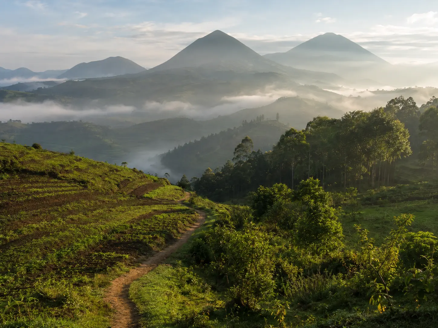 Rwanda Highlands & Lake Kivu