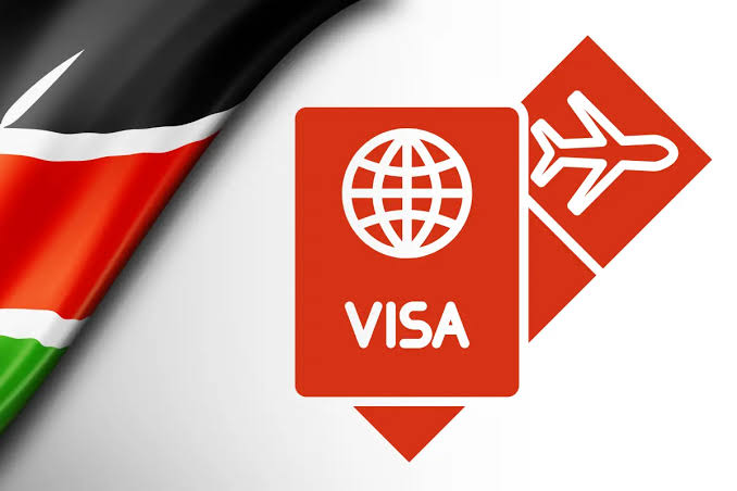 Visa processing support
